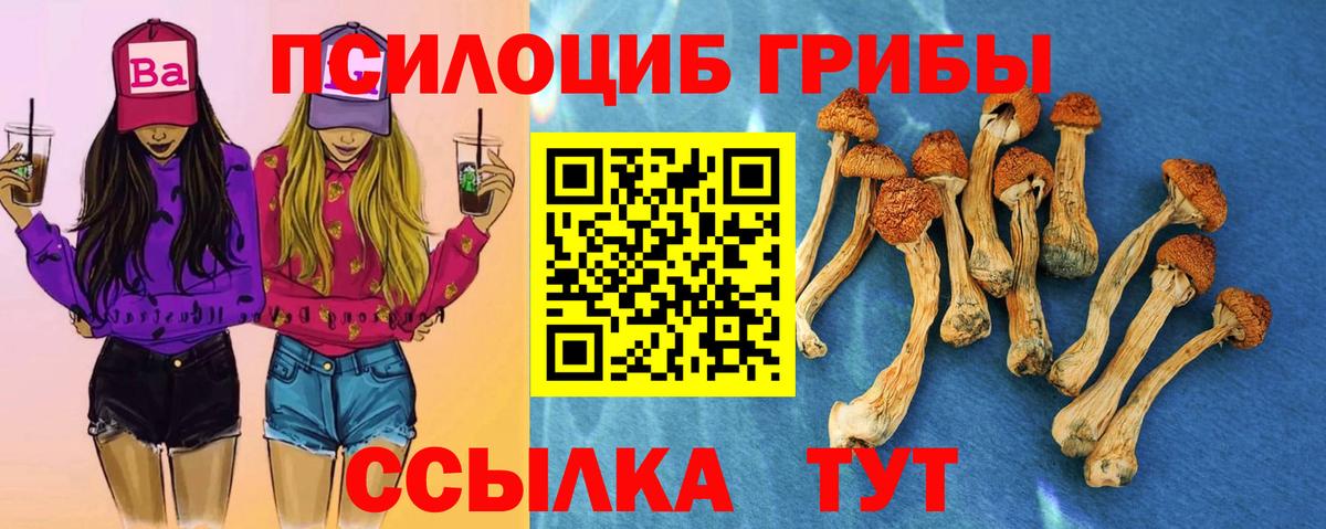 Галлюциногенные грибы Cubensis  купить  цена  Бор  Вход с VPN 